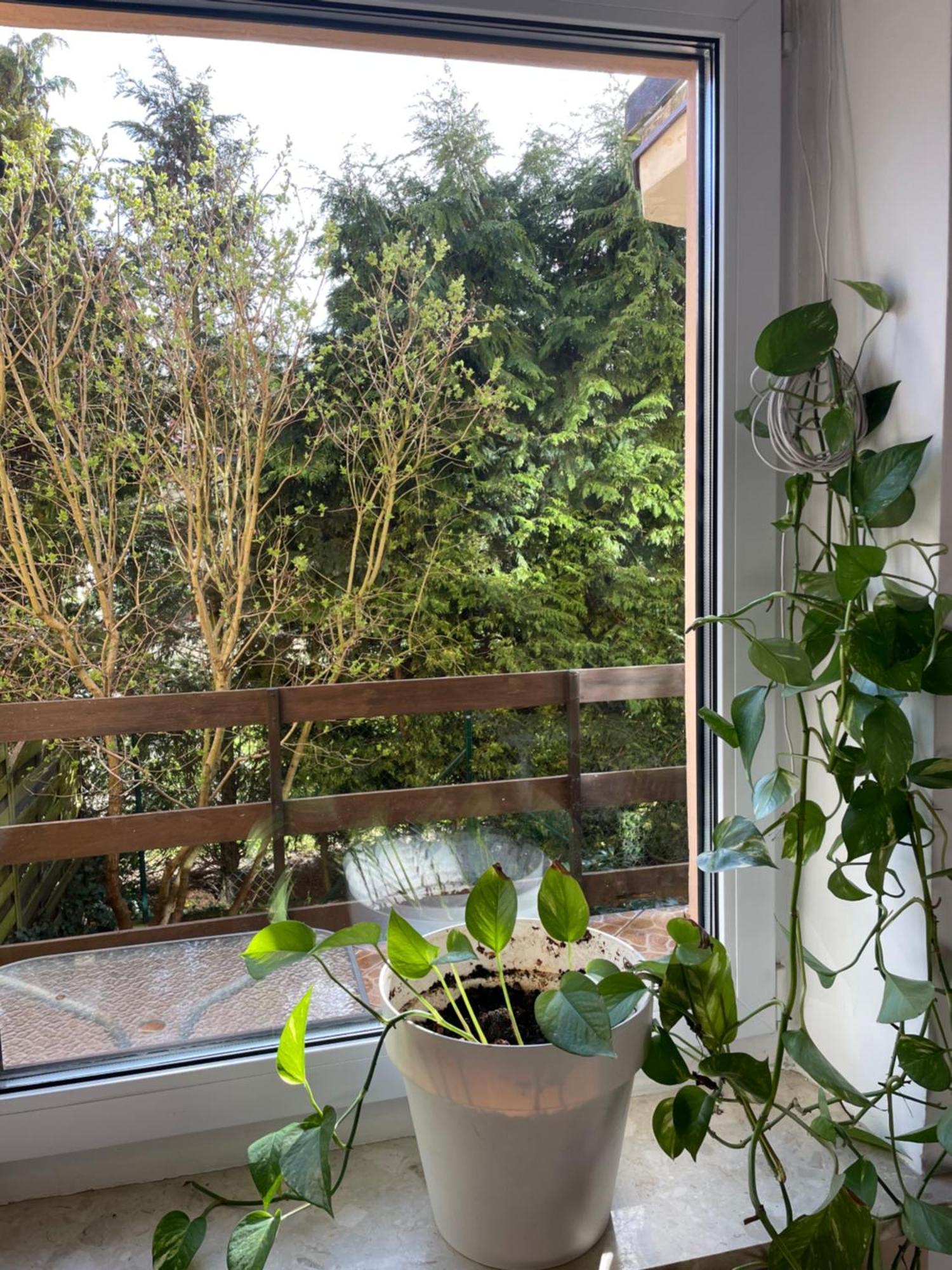 Apartament Airport Gdansk Bagian luar foto